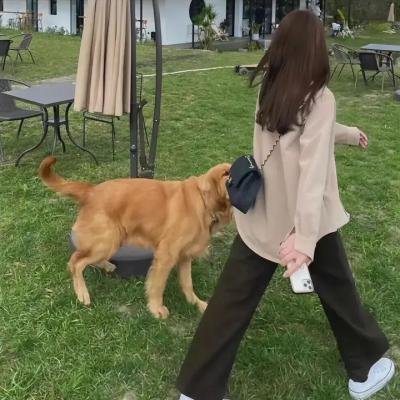 皇冠上的明珠